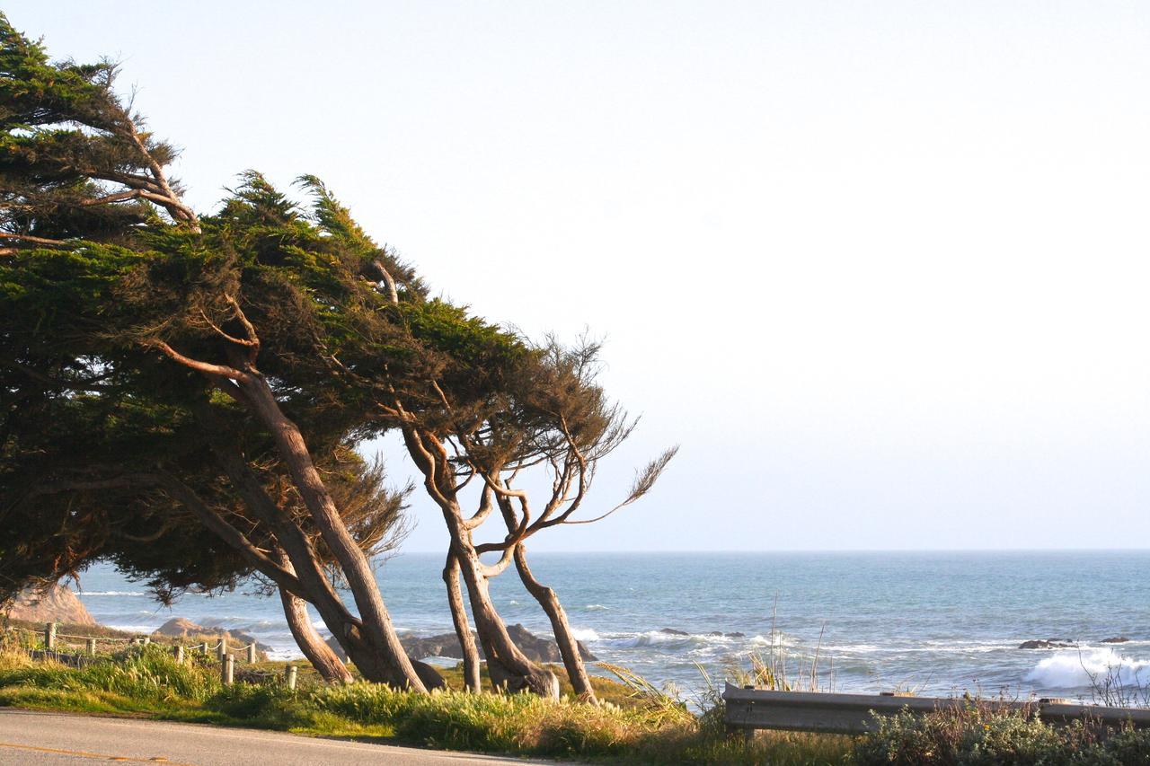Captain'S Cove Inn Cambria Εξωτερικό φωτογραφία